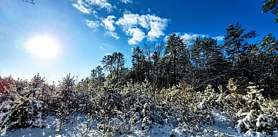 Najzimniejszy weekend tej zimy? IMGW prognozuje spadek temperatury do -18°C