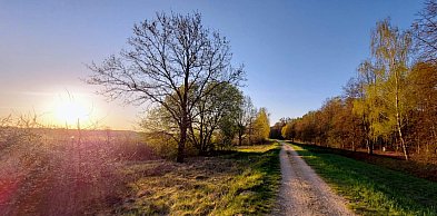 Legionowski: W weekend pogoda miło zaskoczy. To już wiosna?