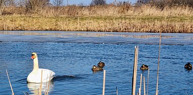 Legionowski: Pogoda w weekend zachwyci. Będzie słonecznie i ciepło