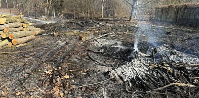 Pożar trawy w Jadwisinie. Ogień zagrażał pobliskim budynkom