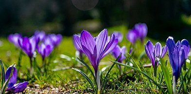 Arktyczne powietrze na Wielkanoc? IMGW zapowiada ochłodzenie i opady deszczu...