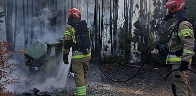 Wieliszew: Przy ul. Niepodległości paliły się tuje. Kierowcy ruszyli z gaśnicami