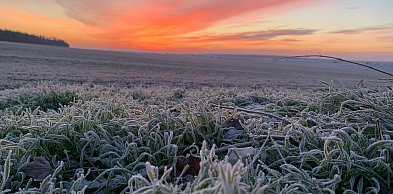 Ostrzeżenie IMGW dla powiatu legionowskiego. W nocy nawet -6°C przy gruncie