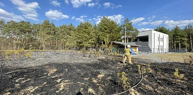 Groźny pożar w Trzcianach. Blisko hektar traw w ogniu, płonął także las