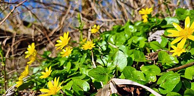 Legionowski: Jaka pogoda w weekend? Sprawdź prognozę