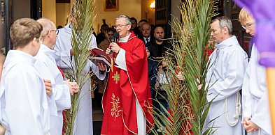 Dlaczego święcimy palmy? Wyjaśniamy symbolikę Niedzieli Męki Pańskiej