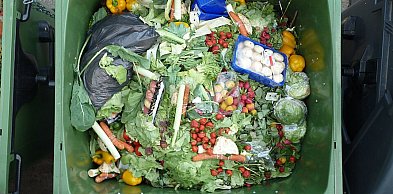 Nawet 3 tys. zł rocznie trafia do kosza. Tyle kosztuje marnowanie żywności