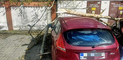 Silny wiatr w powiecie legionowskim. Ponad 50 interwencji straży pożarnej