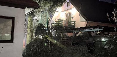 Legionowski: Połamane i uszkodzone drzewa. Ponad 30 interwencji strażaków