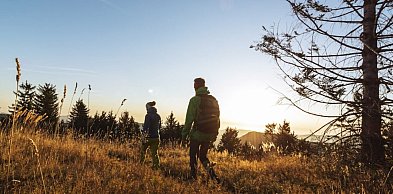 Precyzyjna identyfikacja i bezpieczeństwo: Rola termowizji w nowoczesnej gos...