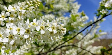 Legionowski: W ten weekend pogoda zaskoczy. W jaki sposób?