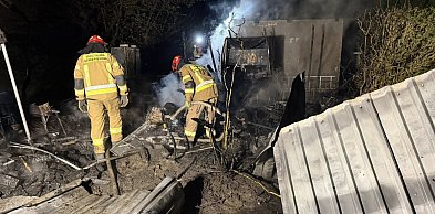 Cupel: Pożar altany przeniósł się na 4 działki. Zagrażał domkom letniskowym