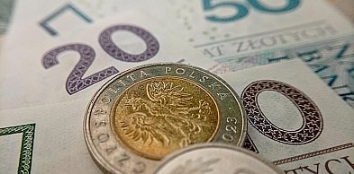 Czy 800 plus powinno wzrosnąć do 1000 zł? Oto wyniki sondażu