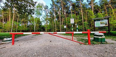 Legionowo: Groźny pożar lasu przy Zakopiańskiej