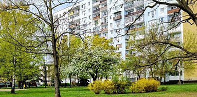 Legionowski: Jaka pogoda w weekend? Czy przydadzą się parasole?