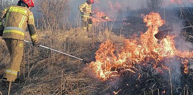 Jabłonna: Dwa pożary traw. Podczas jednego spłonęło auto