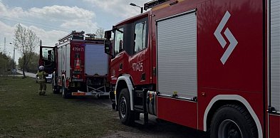 Łajski: Pożar drzew przy Sikorskiego zagrażał budynkom