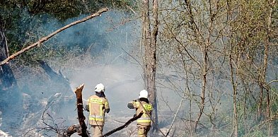 Jabłonna: Dwa pożary traw. Podczas jednego spłonęło auto