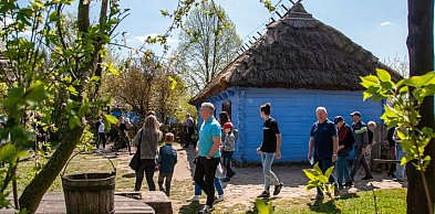 Region: Majówka w Muzeum Wsi Mazowieckiej. Tradycja, koncerty i kulinaria