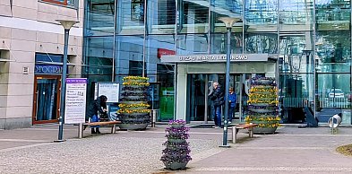 Legionowo: Koło obok krzyża? Kościół Ludzi Słońca złożył skargę. Decyzja...