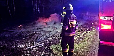 Wólka Radzymińska: Pożar łąki przy ul. Lotników