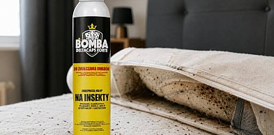 Pluskwy wracają do mieszkań w Legionowie? Ekspert wyjaśnia, jak się ich skute...