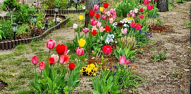 Legionowski: Pogoda w majówkę zaskoczy. Będzie nawet 26 stopni!