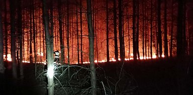 Nocny pożar lasu w gminie Nieporęt. Strażacy apelują do mieszkańców