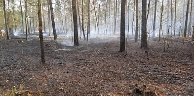 Czarna Struga: Płoną 2 hektary lasu. Gaszenie pożaru trwa