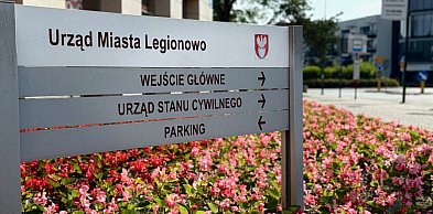 Nowe donice i setki nasadzeń wzdłuż Piłsudskiego. Ratusz szuka wykonawcy