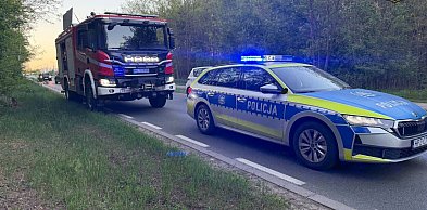 Wieliszew: Toyota potrąciła młodego łosia. Zwierzę trzeba było uśpić