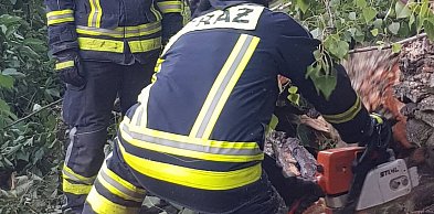 Jabłonna: Drzewo zablokowało ruch na DW630