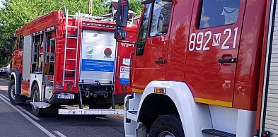 Serock: 83-latka zasłabła za kierownicą. Wjechała w tuje