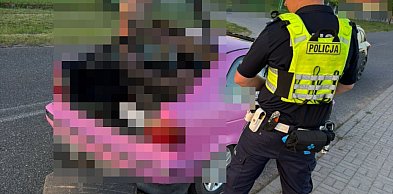 Wierzbica: Driftował sportowym autem. Stracił prawo jazdy