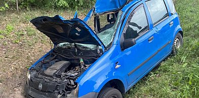 Zderzenie pandy z łosiem na DW622. Auto do kasacji, zwierzę uciekło