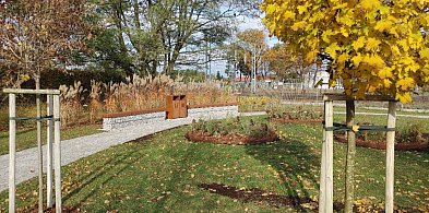 Jesienne oblicze Parków Kieszonkowych-142124