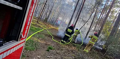 Nie pada od tygodni. Seria pożarów traw i ściółki w powiecie legionowskim
