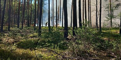 Gmina Nieporęt: Dwa groźne pożary lasów