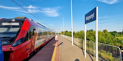 W poniedziałek darmowa komunikacja w aglomeracji-140951