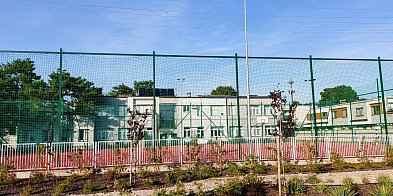 Starostwo chce rozbudować szkołę przy Targowej. Powstanie nowa część...-143151