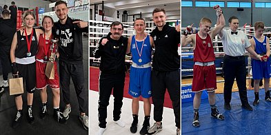 Aligancki Boks z kolejnymi sukcesami