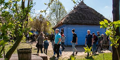 Majówka w Muzeum Wsi Mazowieckiej. Tradycja, koncerty..