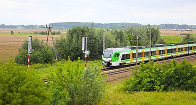 22 września pojedziesz Kolejami Mazowieckimi za darmo-140951