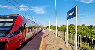 W poniedziałek darmowa komunikacja w aglomeracji i na Mazowszu-140951