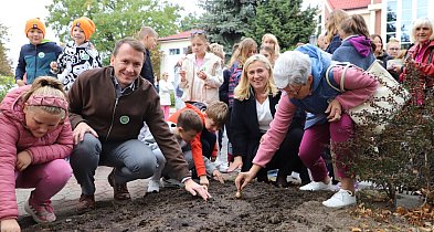 Nieporęt: Pola Nadziei znów zakwitną na Placu Wolności-141450