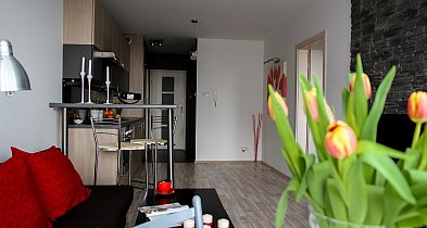 Rewolucja w wynajmie na doby. Nadchodzi koniec "wolnej amerykanki"-143006