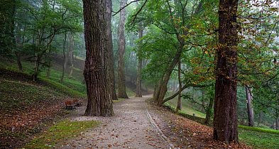 Coraz więcej ludzi boi się... przyrody. Naukowcy alarmują o rosnącej...-143075