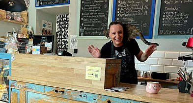 Praca z misją w Legionowie. Kocia Kawiarnia przyciąga młodych, którzy...-143265