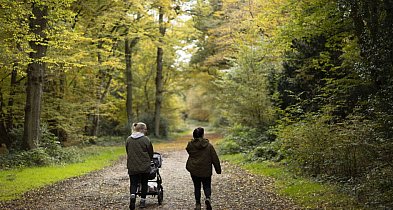 Zdrowie: Jak spowolnić starzenie się mózgu? Oto kluczowe nawyki-143352