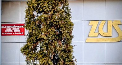 ZUS częściej kontroluje kobiety w ciąży na L4